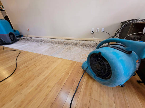 Professional Ceiling Water Damage Repair technician working in Mendon, MA